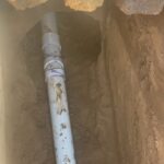 WhatsApp Image 2022-08-22 at 12.32.01 AM (1)